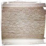 Pizzo raschel elastico beige