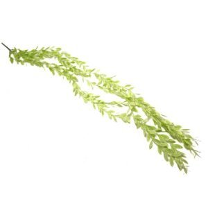 Verde cascante HR19